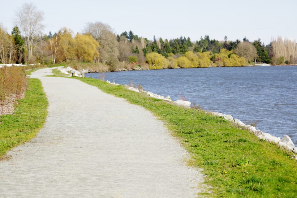 Greenville’s Swamp Rabbit Trail 