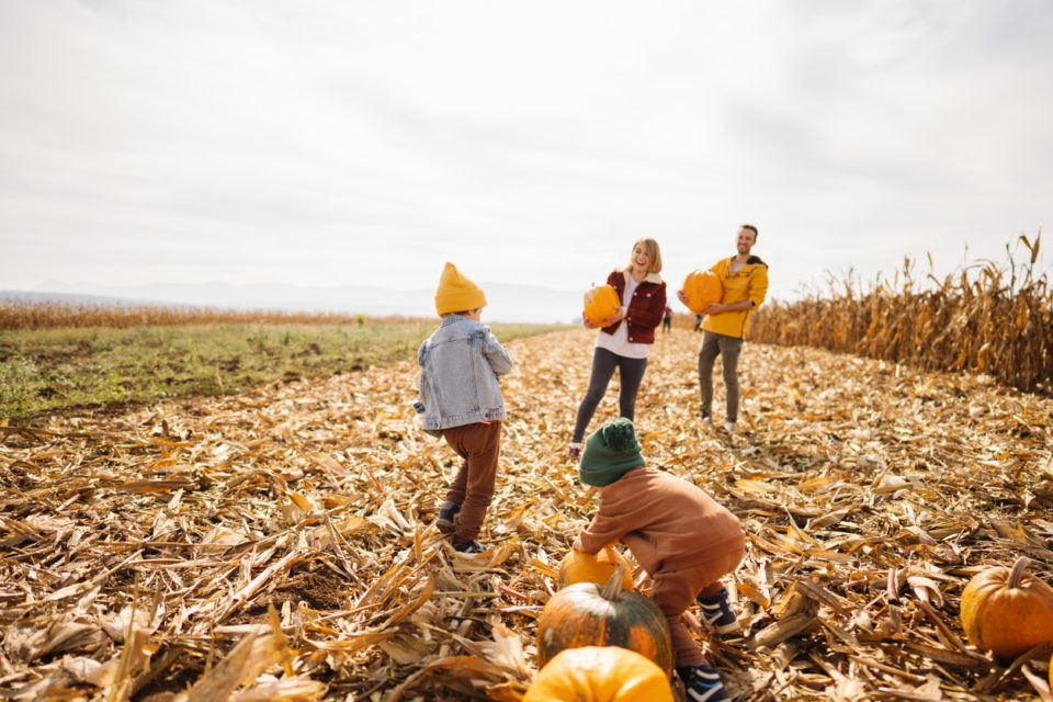 Family on a pumpkin patch adventure