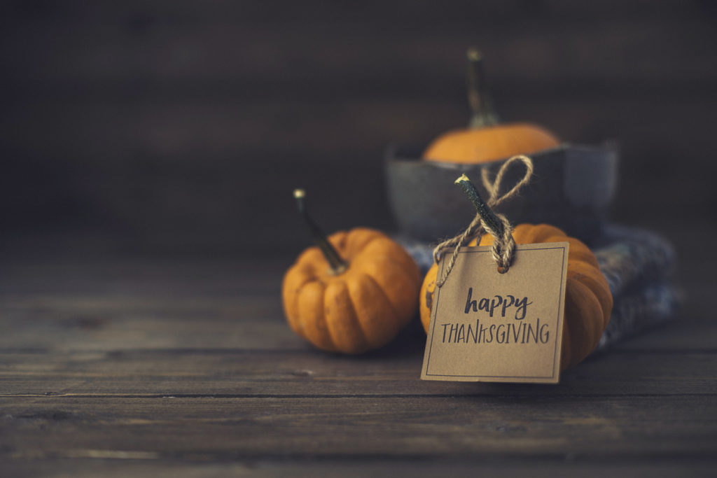 baby pumpkins and Happy Thanksgiving message