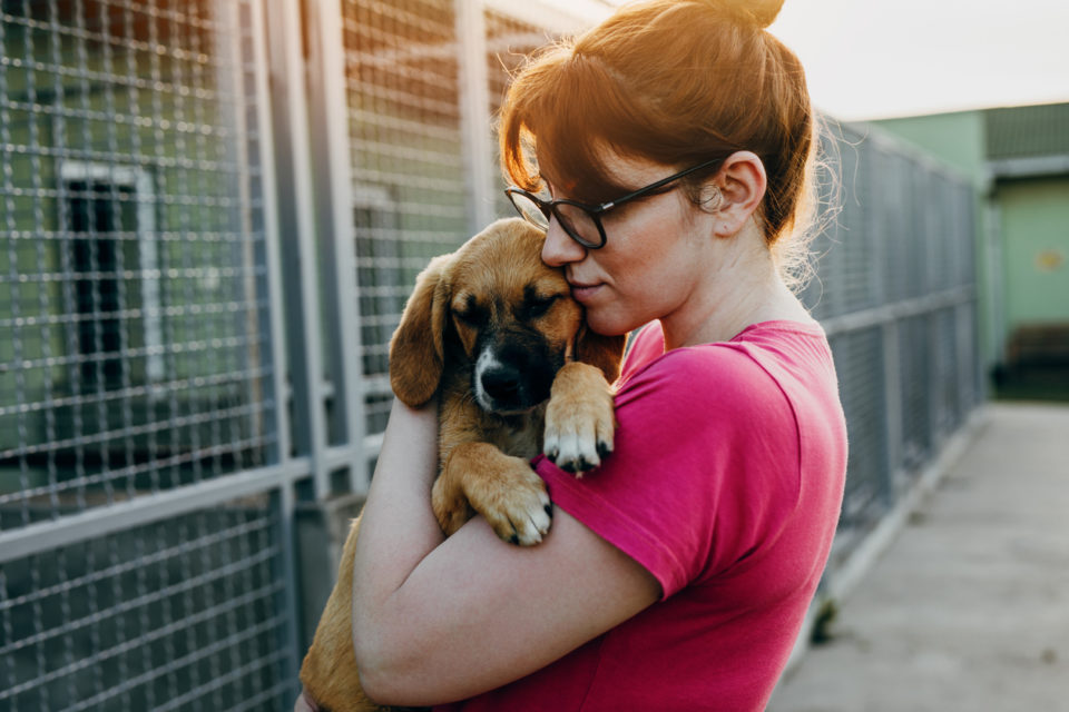 Young woman in animal shelter