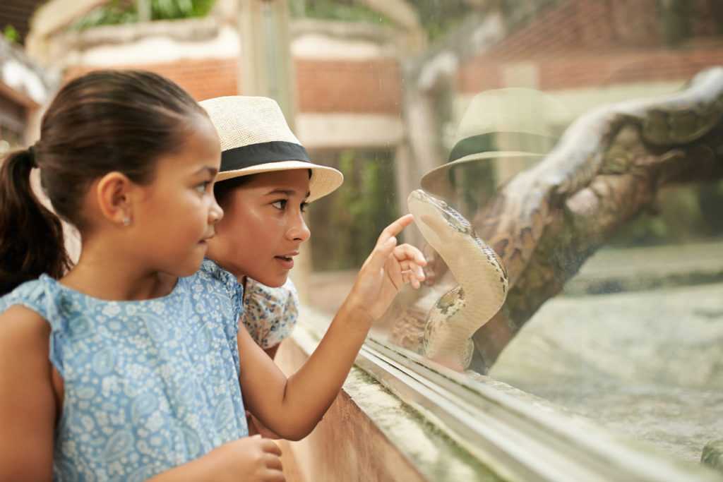 girls pointing at python in terrarium