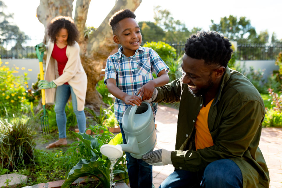 Family starts a new garden together