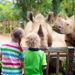 Plan Your Visit To The Greenville Zoo